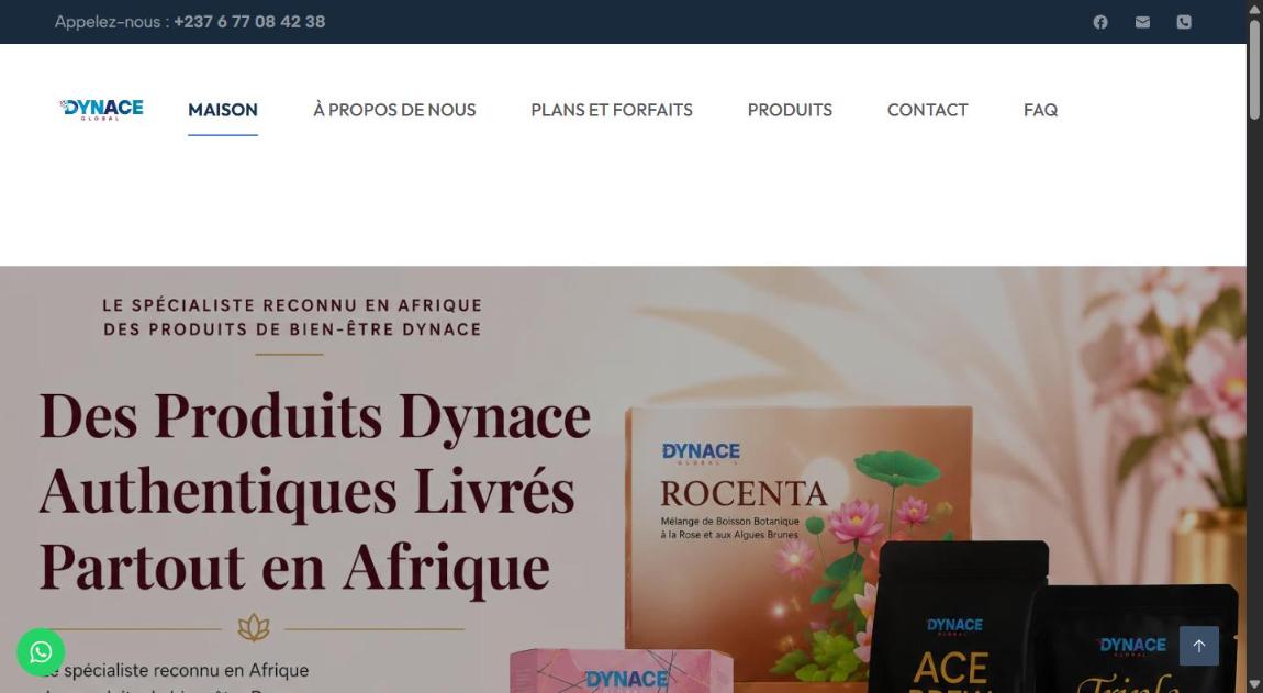 DynAce Global Afrique